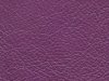 cherub-purpleprize