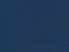 prl-1018-blue-heron